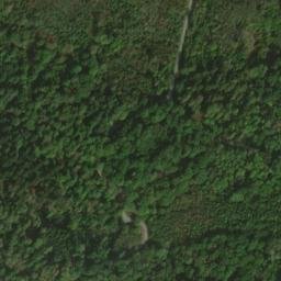 Satellite imagery of Tauzenbühl, DE