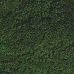 Satellite imagery of Tauzenbühl, DE