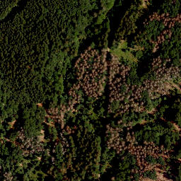 Satellite imagery of Grüne Bänder, CZ