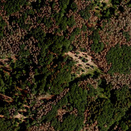 Satellite imagery of Grüne Bänder, CZ