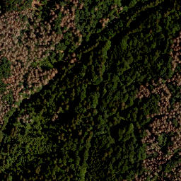 Satellite imagery of Grüne Bänder, CZ