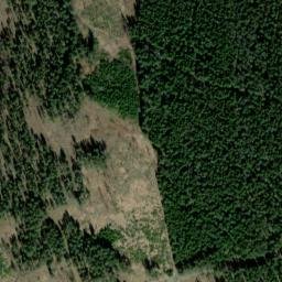 Satellite imagery of Jelení Kaliště [Horská Kvilda], CZ