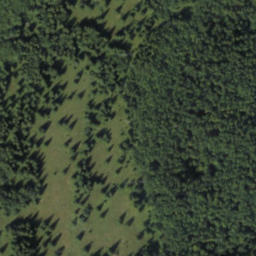 Satellite imagery of Vtáčnik, PL