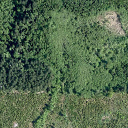 Satellite imagery of survey_point, CA