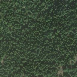 Satellite imagery of Richter Mountain, CA