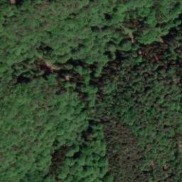 Satellite imagery of Bärenbühl, DE