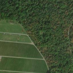 Satellite imagery of Tauzenbühl, DE