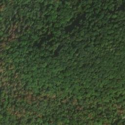 Satellite imagery of Tauzenbühl, DE