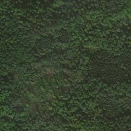 Satellite imagery of Nameless Point, DE