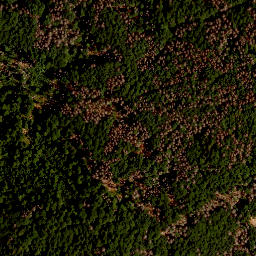 Satellite imagery of survey_point, CZ