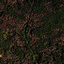 Satellite imagery of survey_point, CZ