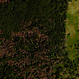 Satellite imagery of survey_point, CZ