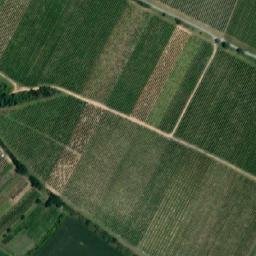 Satellite imagery of Šibeniční vrch [Dolní Kounice], CZ