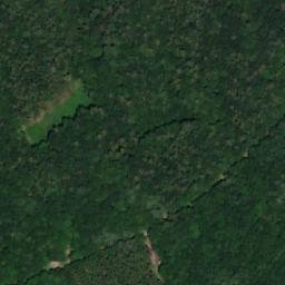 Satellite imagery of (Újezdecký les), CZ