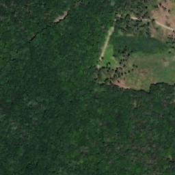 Satellite imagery of (Újezdecký les), CZ