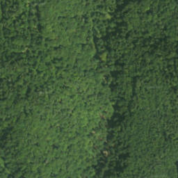 Satellite imagery of survey_point, PL