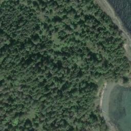 Satellite imagery of Detwiller Point, CA