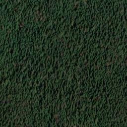 Satellite imagery of Gibson Pass, CA