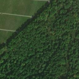 Satellite imagery of Tauzenbühl, DE