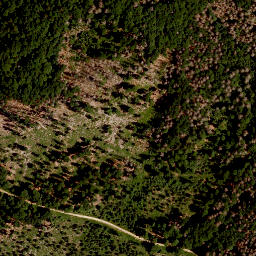 Satellite imagery of survey_point, CZ