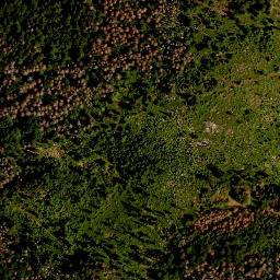 Satellite imagery of survey_point, CZ