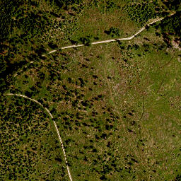 Satellite imagery of TP, CZ