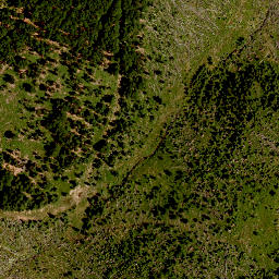 Satellite imagery of TP, CZ