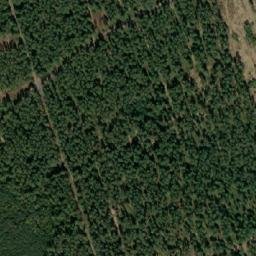 Satellite imagery of Smitka [Lužnice], CZ