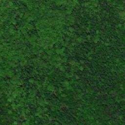 Satellite imagery of U rozhledny [Nechvalín], CZ