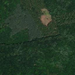 Satellite imagery of (Újezdecký les), CZ