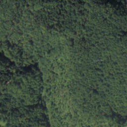 Satellite imagery of červená, PL