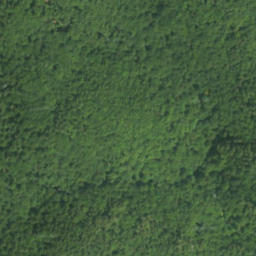 Satellite imagery of survey_point, PL