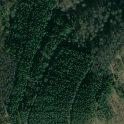 Satellite imagery of Dachsberg, DE
