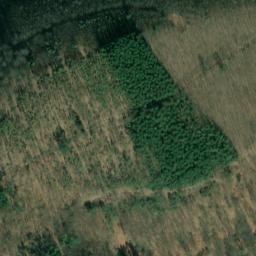 Satellite imagery of Dachsberg, DE