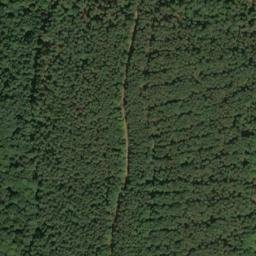 Satellite imagery of Langenberg, DE