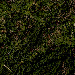 Satellite imagery of survey_point, CZ