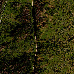 Satellite imagery of TP, CZ