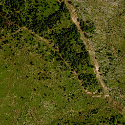 Satellite imagery of TP, CZ