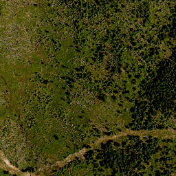 Satellite imagery of TP, CZ