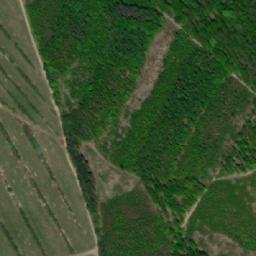 Satellite imagery of [Nechvalín] GSM, CZ