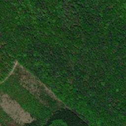 Satellite imagery of U rozhledny [Nechvalín], CZ