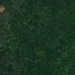 Satellite imagery of (Újezdecký les), CZ