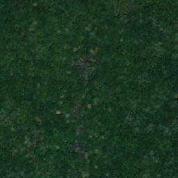 Satellite imagery of (Újezdecký les), CZ