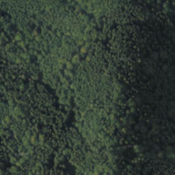 Satellite imagery of Tyč, PL