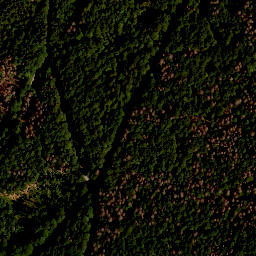 Satellite imagery of TP, CZ