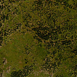 Satellite imagery of TP, CZ