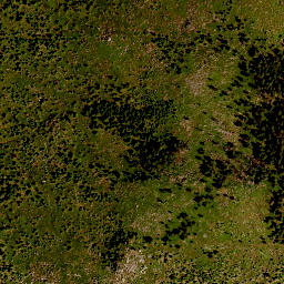 Satellite imagery of TP, CZ