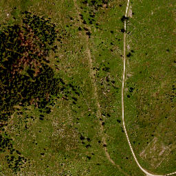 Satellite imagery of TP, CZ