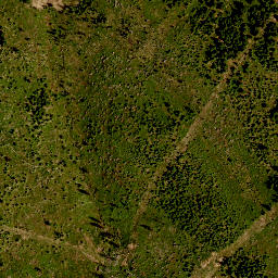 Satellite imagery of TP, CZ