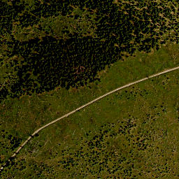 Satellite imagery of TP, CZ